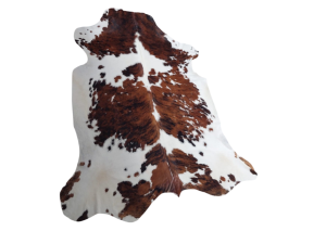 Tricolor Cowhide Rug 
