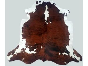 Tricolor Brown Rich Chocolate Mix White Cowhide Rug Tx