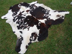 Extra Large Tricolor Cowhide Rug