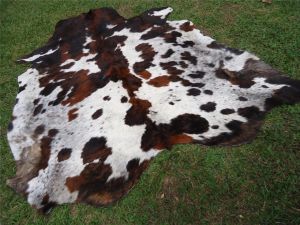 Tricolor Speckled Cowhide Rug (W0002)