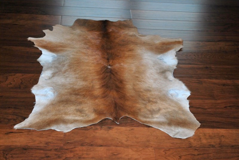 Choose Calf hide to Warm up Your Home This Fall