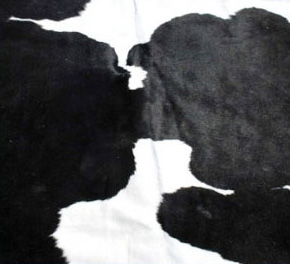 Cowhide Black And White