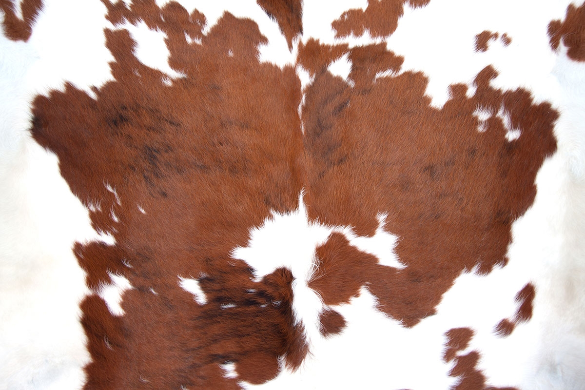 cowhide for sale