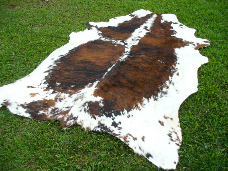 Guide To Cowhide Rug Care And Maintenance Cowhide Rug Tips