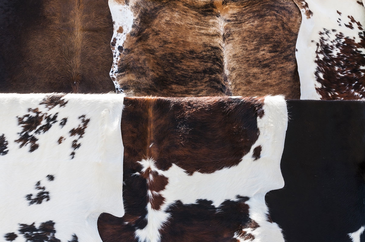 How to Hang a Cowhide Without Nails