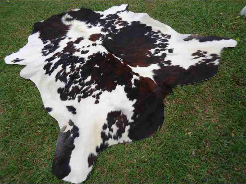 Where to Buy the Very Best Cowhide Products? - Cowhide Rug Tips