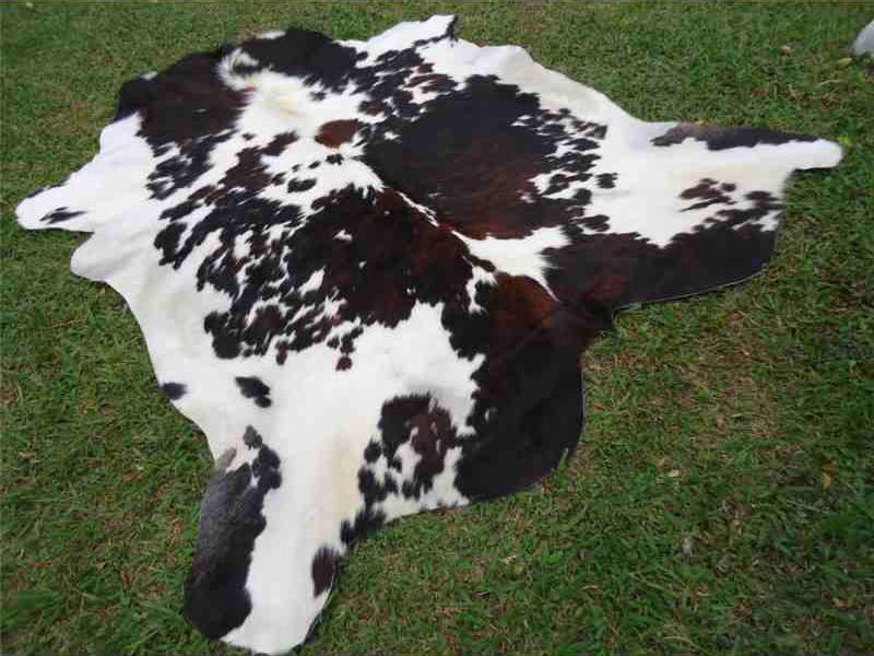 Cowhide